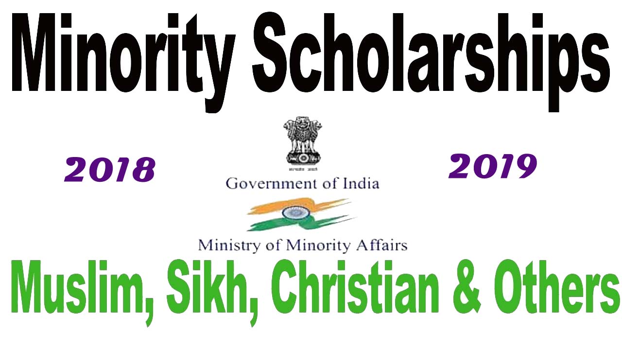 minority scholarship